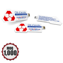  Custom Advertising Card USB Webkey