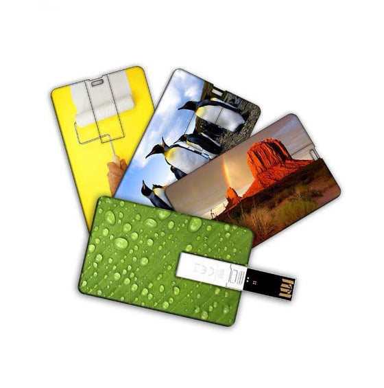 0017U Card USB Flash drive Supplier Philippines