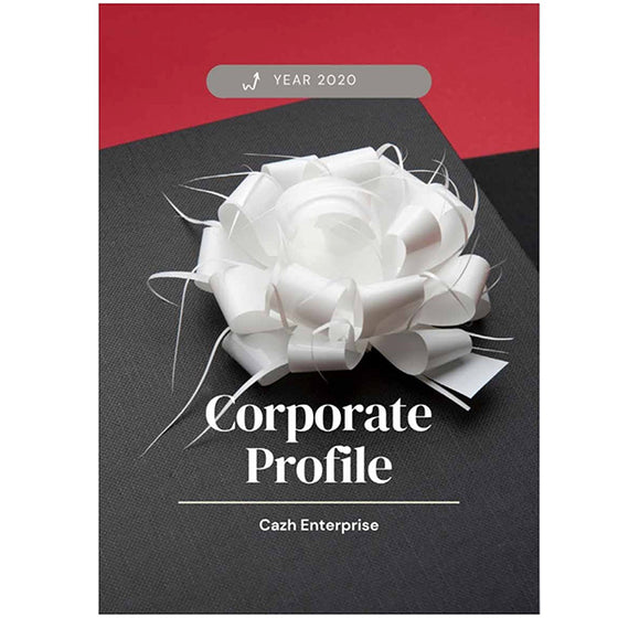 Corporate Profile 2020 FREE Download