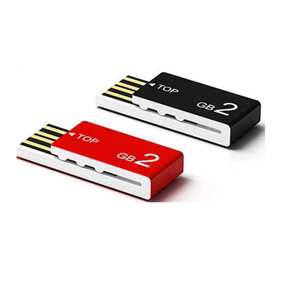 Corporate Gift 0081 USB Flash drive